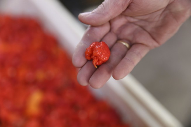 Pepper X marks the spot as South Carolina pepper expert scorches his own Guinness Book heat record