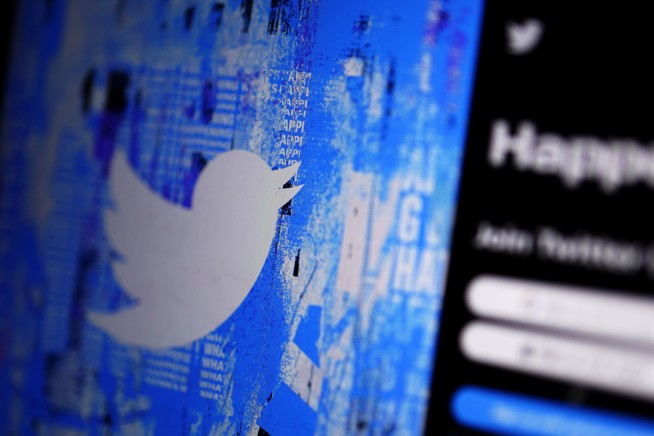 Musk says granting 'amnesty' to suspended Twitter accounts