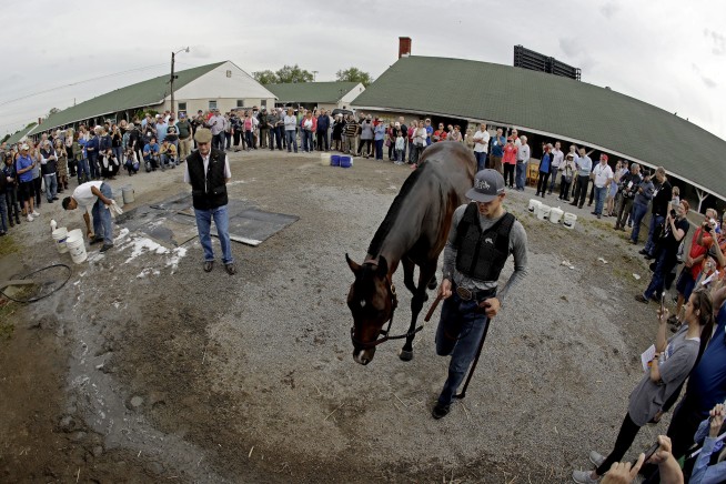 Kentucky Derby favorite Omaha Beach scratched