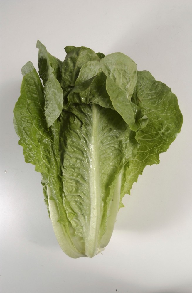 5 dead, nearly 200 sickened in romaine lettuce outbreak