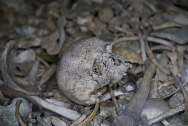 In the final hours of World War I, a terrible toll