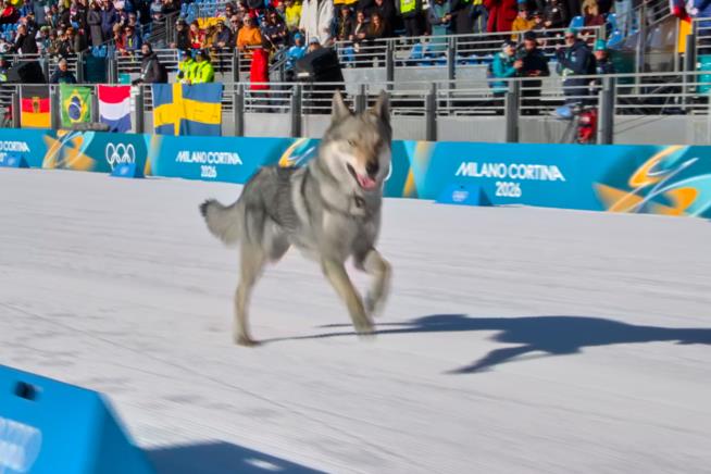 In a golden masterclass, Norway's Klaebo extends Winter Olympics medal record