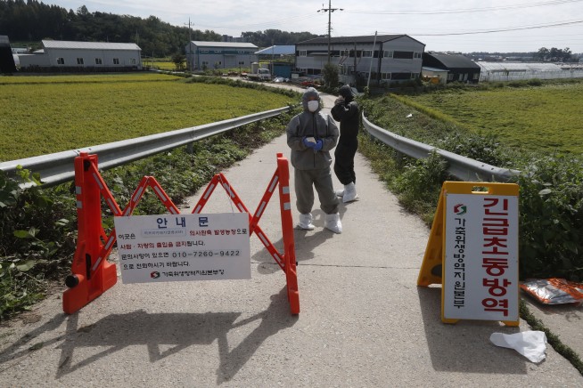 South Korea confirms 2nd case of African swine fever