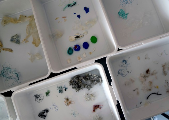 Turtles dying from eating trash show plastics scourge in UAE