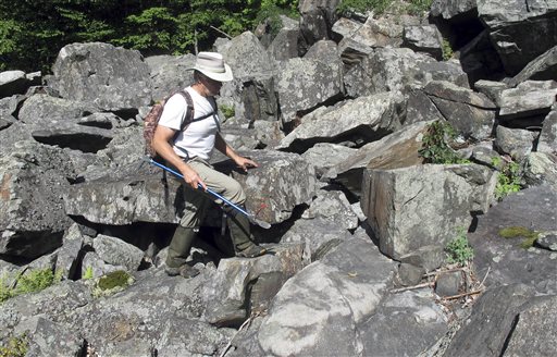 Mysterious fungus killing snakes in at least 9 states