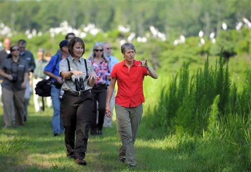 US declares wood storks no longer endangered
