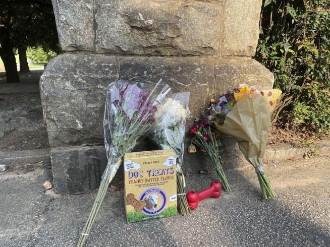 Woman fatally stabbed while walking dog in Atlanta park