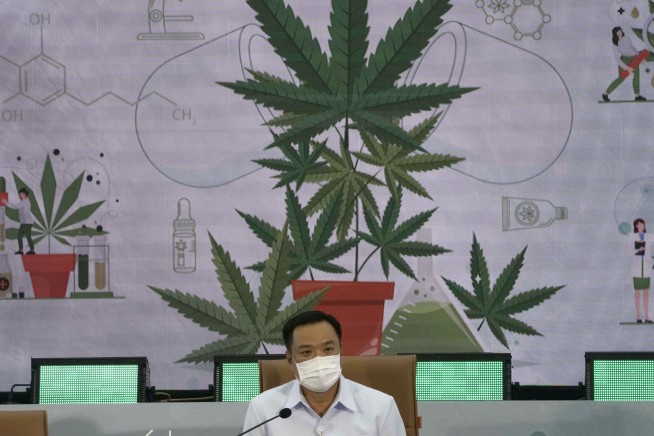 Thailand providing free cannabis plants for home cultivation