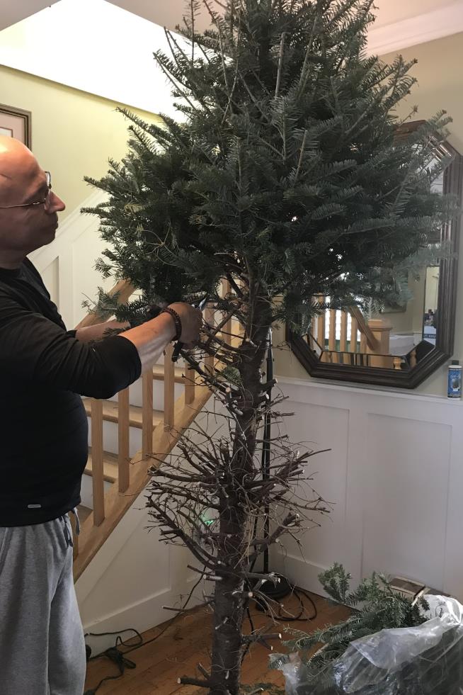 Christmas is over, but what to do with the tree? Here's some alternatives to the landfill