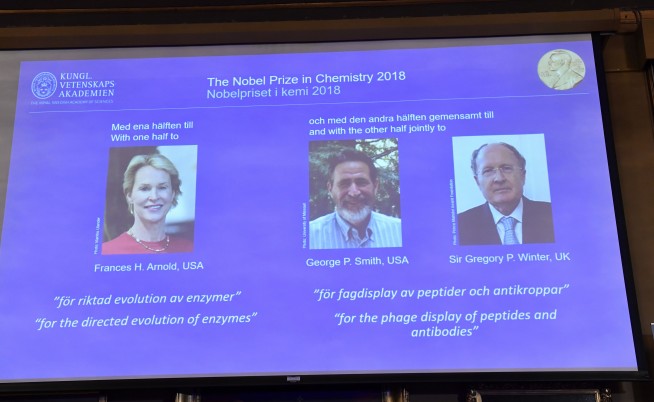 US, British scientists win Nobel Prize in chemistry