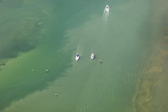 Burning eyes, dead fish; red tide flares up on Florida coast
