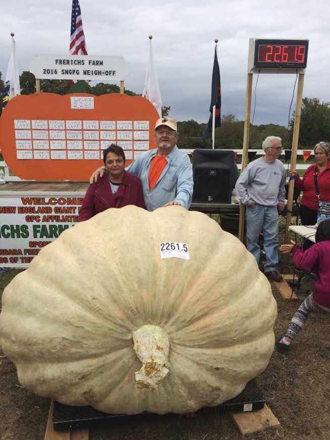 Dad squashes son's giant pumpkin record with 2,261-pounder