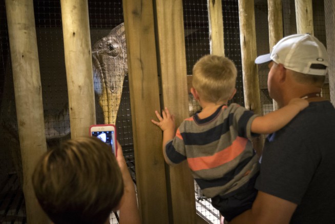 Noah's ark of biblical proportions ready to open in Kentucky