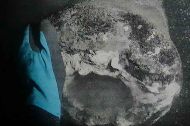 Danish warship sunk by Nelson's British fleet discovered after 225 years