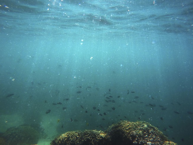 UN report on global warming carries life-or-death warning