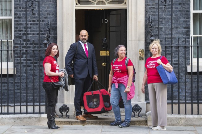 Downing Street dog moves in with UK prime minister