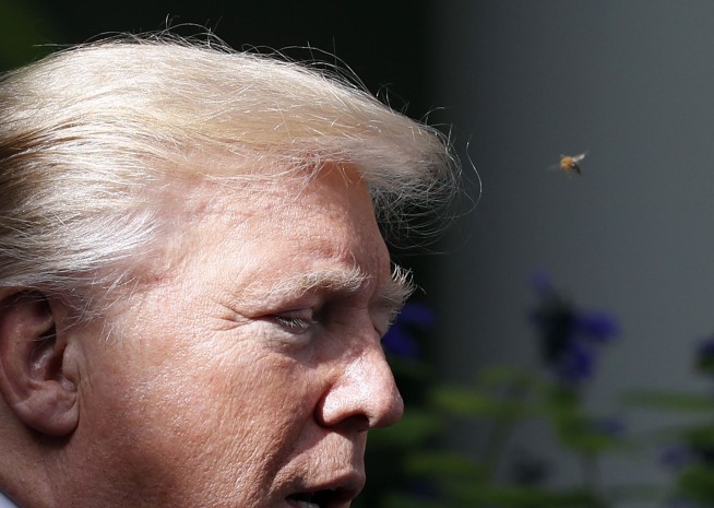 Trump says predecessors didn't honor fallen; response heated