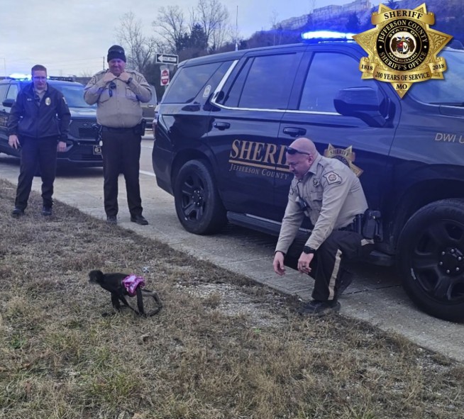 Monkey in a tutu escapes from a home. Missouri sheriff's office says the capture was 'bananas'