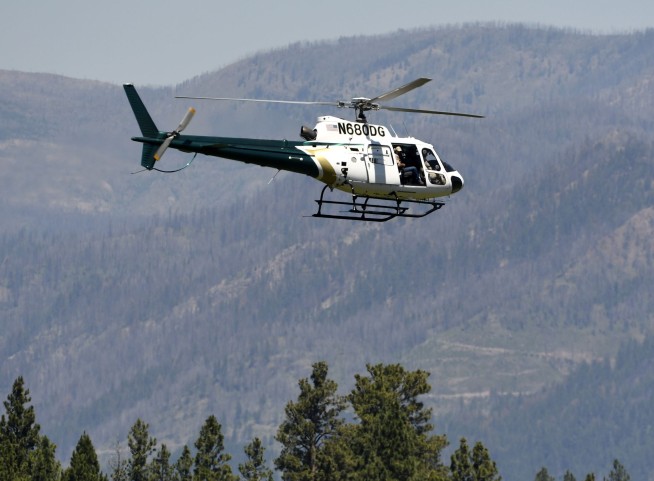 Grizzly shot, killed after fatal attack of California woman