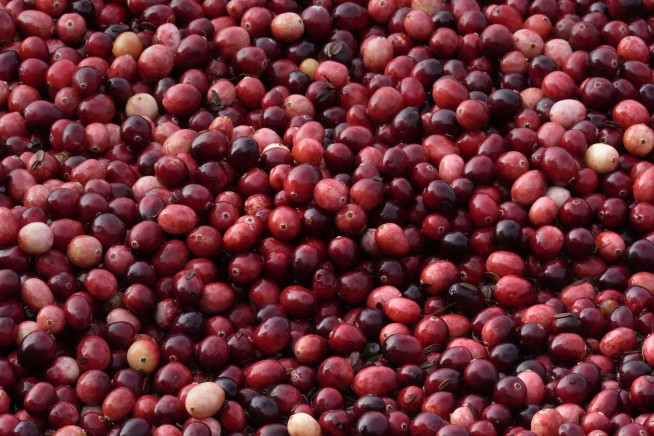 Some of those Ocean Spray cranberries come from a bog in Massachusetts