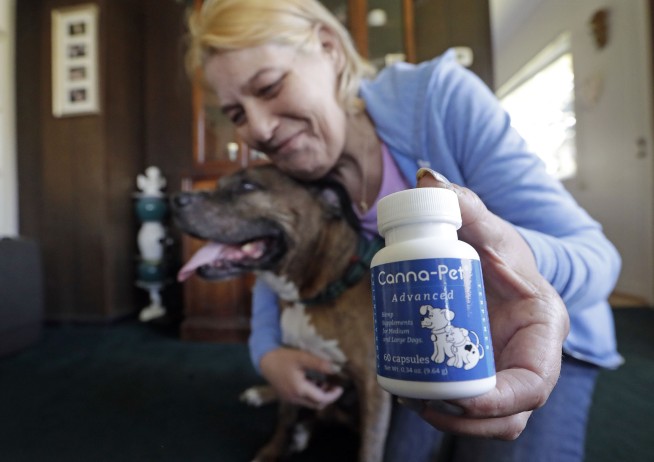 Marijuana growers diversify with hemp amid CBD boom