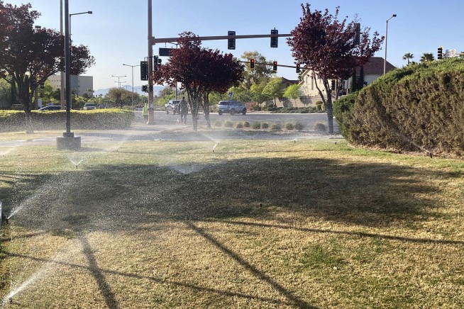 Drought-stricken Nevada enacts ban on 'non-functional' grass