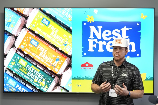 The US egg industry kills 350 million chicks a year. New technology offers an alternative