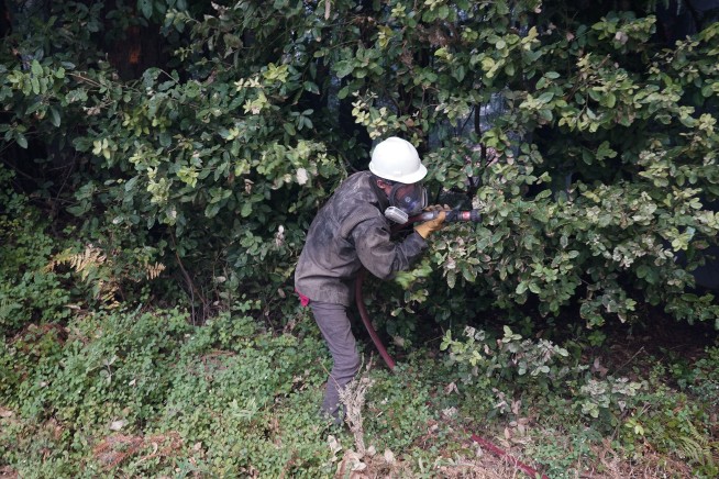 With stretched crews, homeowners join California firefight