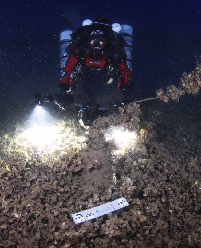 Divers recover artifacts from the Titanic's sister ship Britannic for the first time