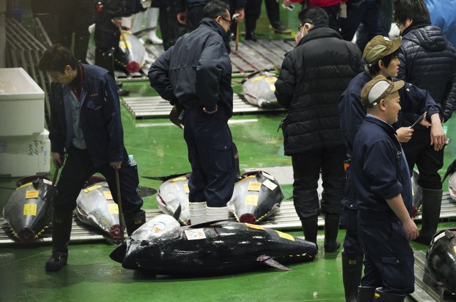 Bluefin goes for $3 million at 1st 2019 sale at Tokyo market