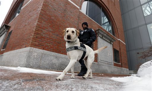 Defense admits Tsarnaev carried out Boston Marathon bombing