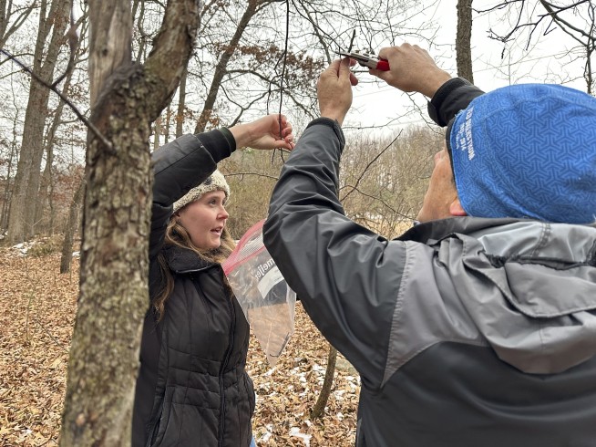 A key to protecting apples from climate change might be hiding in Michigan’s forests