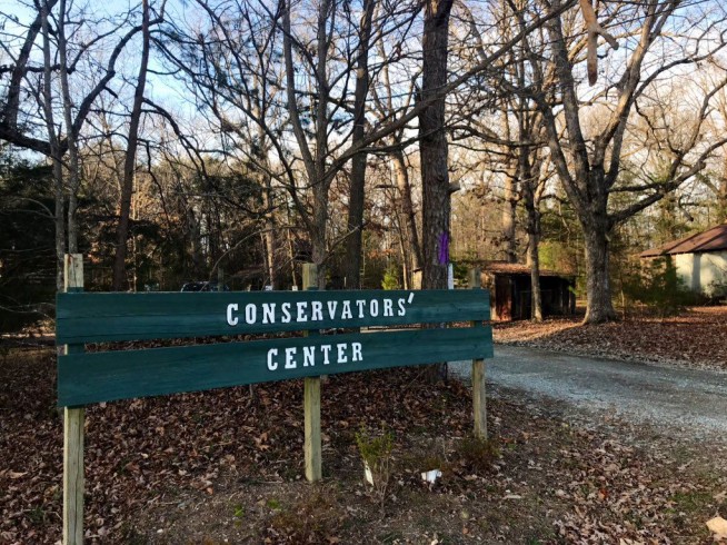 Lion kills worker after escaping locked area at conservatory