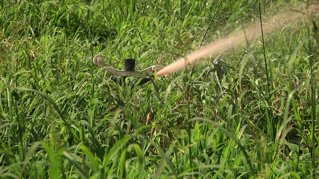 Lawsuit blames pork giant for noxious farm smells