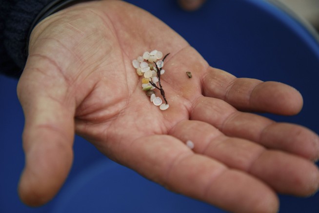 Spain investigates contamination of Atlantic shore by countless plastic pellets spilled from ship