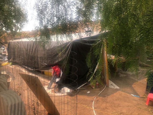 7 killings investigated at illegal pot grow in California