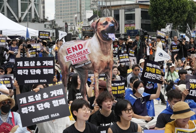 South Korea’s parliament passes landmark ban on production and sales of dog meat
