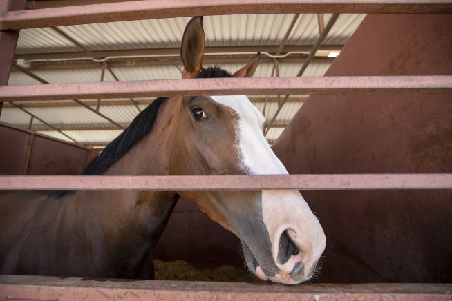 Rain helps 1,000 firefighters slow big New Mexico blazes as Biden approves disaster relief