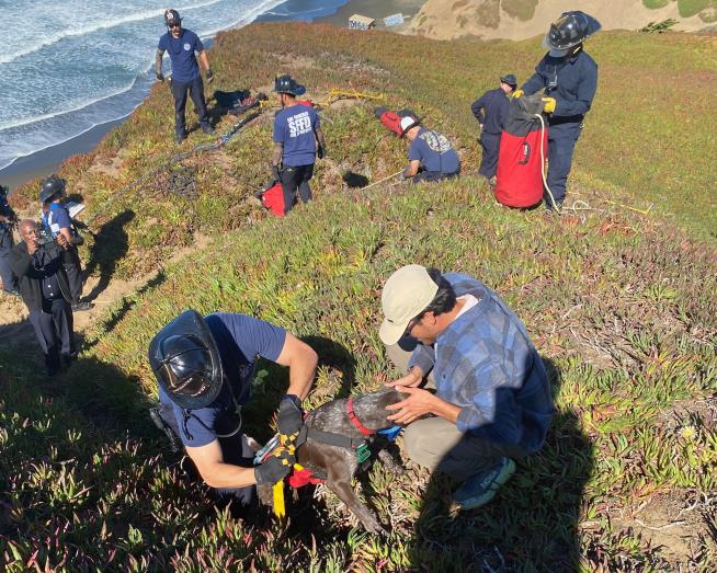 A San Francisco dog wags its tail and kisses rescuers after it's plucked from the side of a cliff