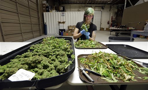 Growers struggle with glut of legal pot in Washington state