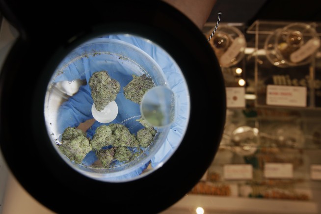 A pot shop at your door: Home delivery surges amid outbreak