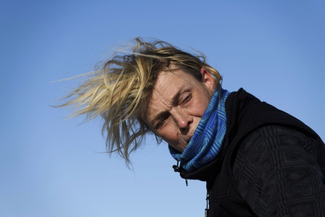 Iditarod punishes 3 mushers for sheltering dogs in windstorm