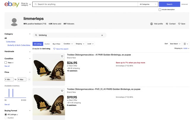 Rare birdwing butterflies star in federal case against NY man accused of trafficking insects