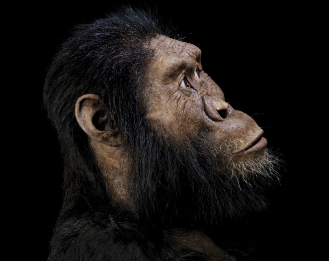 Ethiopian fossil reveals face for ancestor of famed 'Lucy'