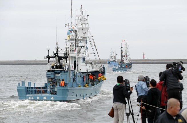 Japan resumes commercial whaling despite low demand
