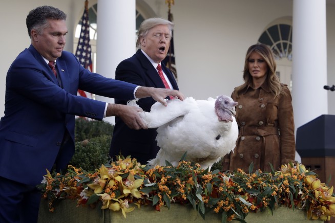 Trump tells impeachment jokes at annual turkey pardon event