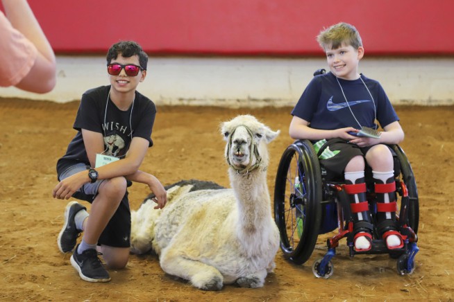 World's oldest llama enjoys comforting chronically ill children in North Carolina