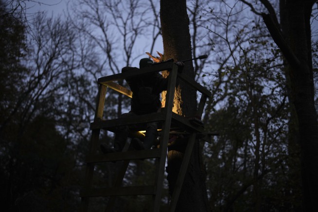 Too many wild deer are roaming England's forests. Can promoting venison to consumers help?