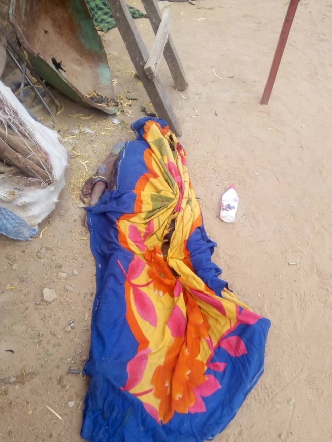 Death toll from central Mali massacre up to 134, says UN