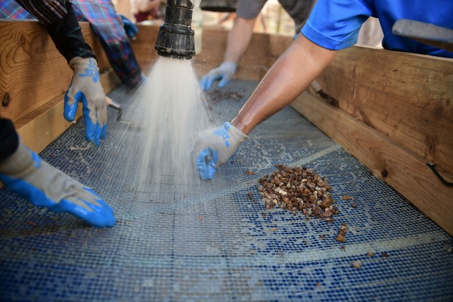 Thai archival find may resolve fate of missing WWII US flyer